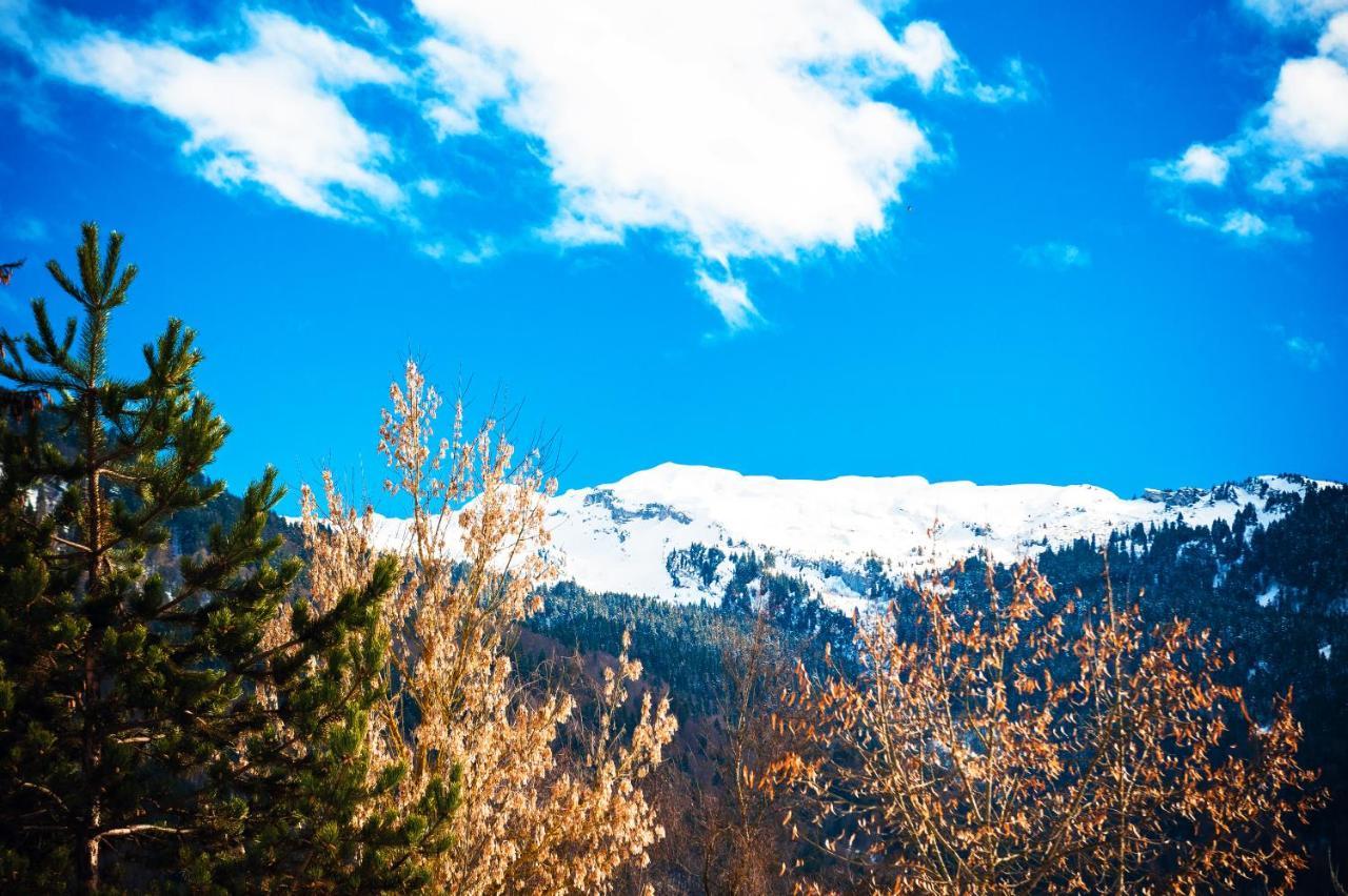 Residence Nemea Le Grand Tetras Samoëns Εξωτερικό φωτογραφία